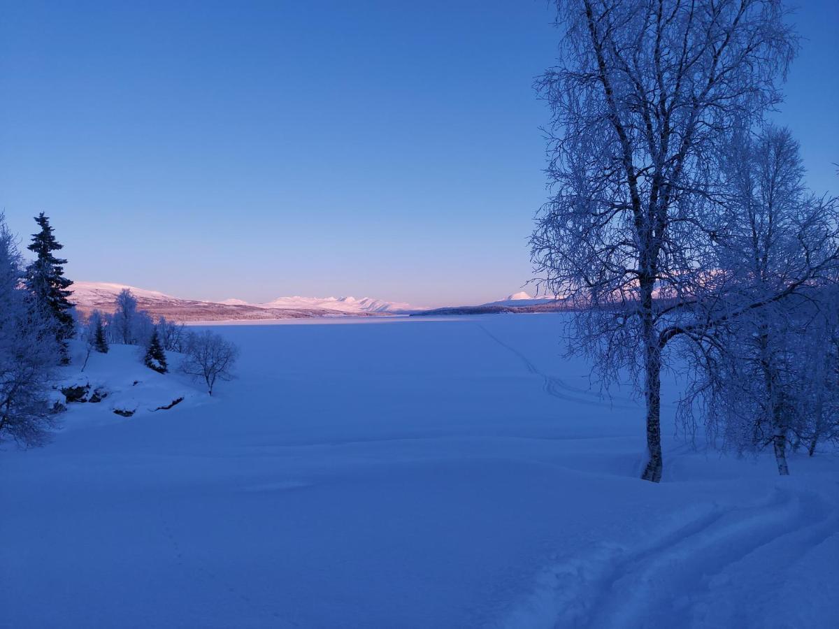 Villmarksgard Tommerstue Hattfjelldal Εξωτερικό φωτογραφία